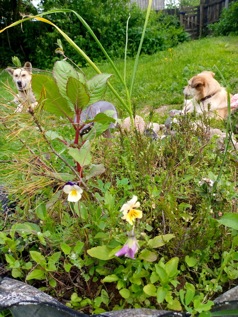 Сколько их?😊