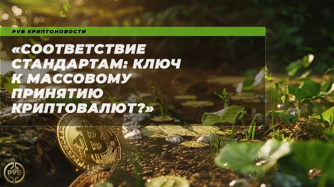    sootvetstvie-standartam-klyuch-k-massovomu-prinyatiyu-kriptovalyut PVB_EXCHANGE