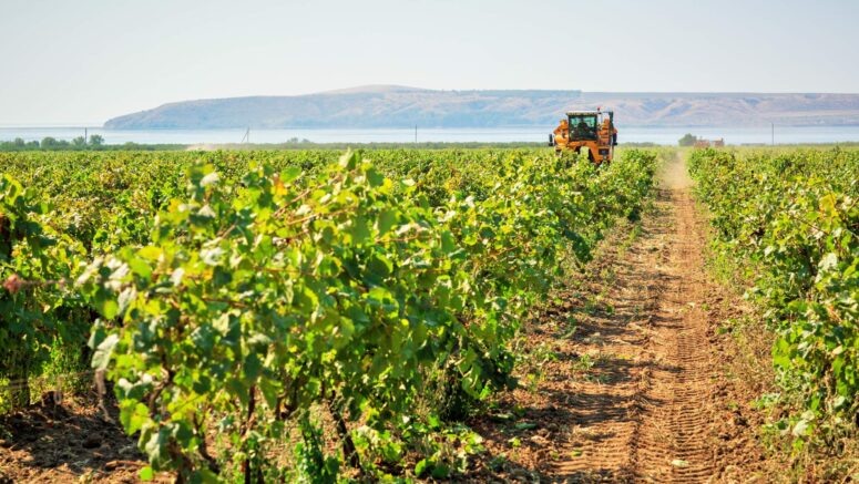    admkrai.krasnodar.ru