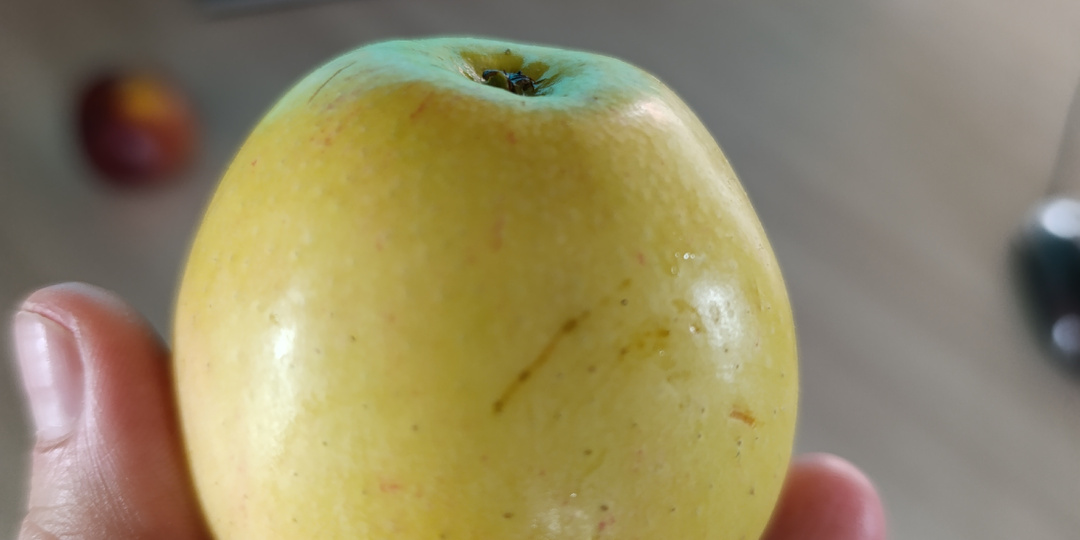 Обалдела сегодня от цифры на весах. Еженедельный отчёт. Худею с 86 кг.