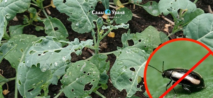 Создать карусельДобавьте описание