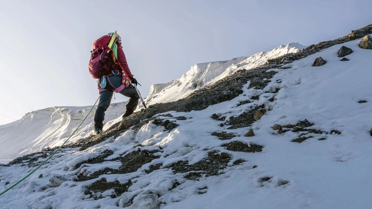    Фото: Juan Jose Escobar Gil/Shutterstock/Fotodom