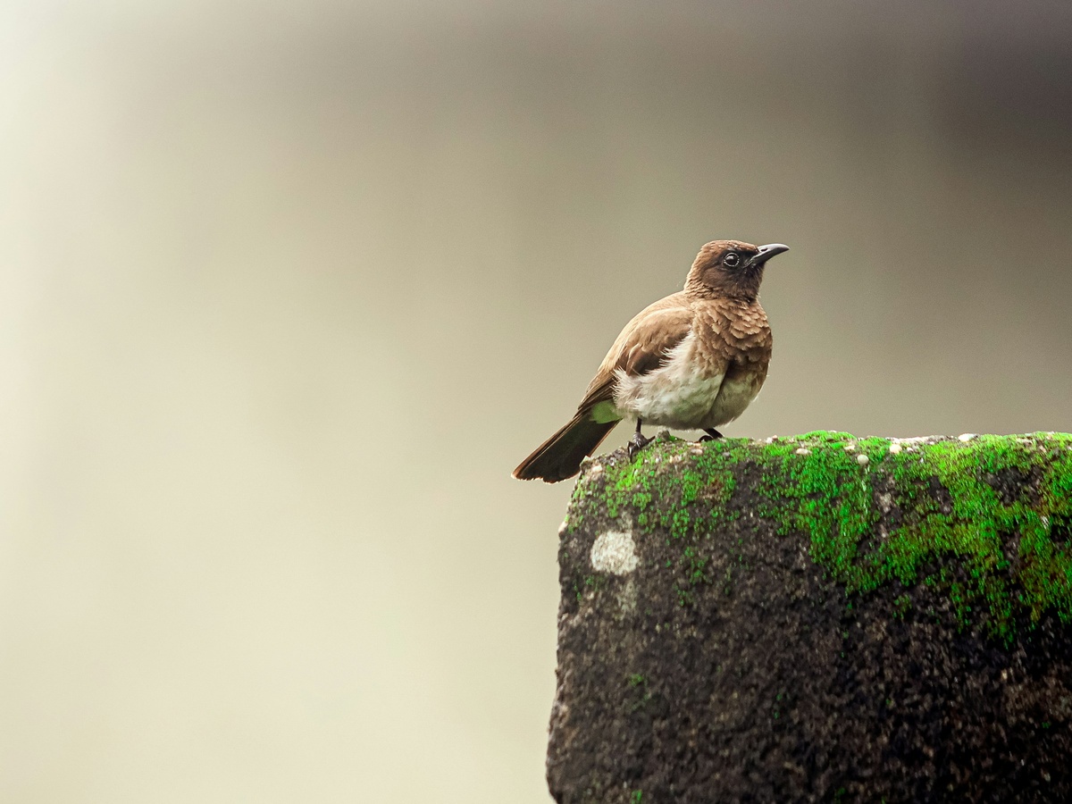 Фото с бесплатного фотостока https://unsplash.com, автор JEaLiFe Pictures