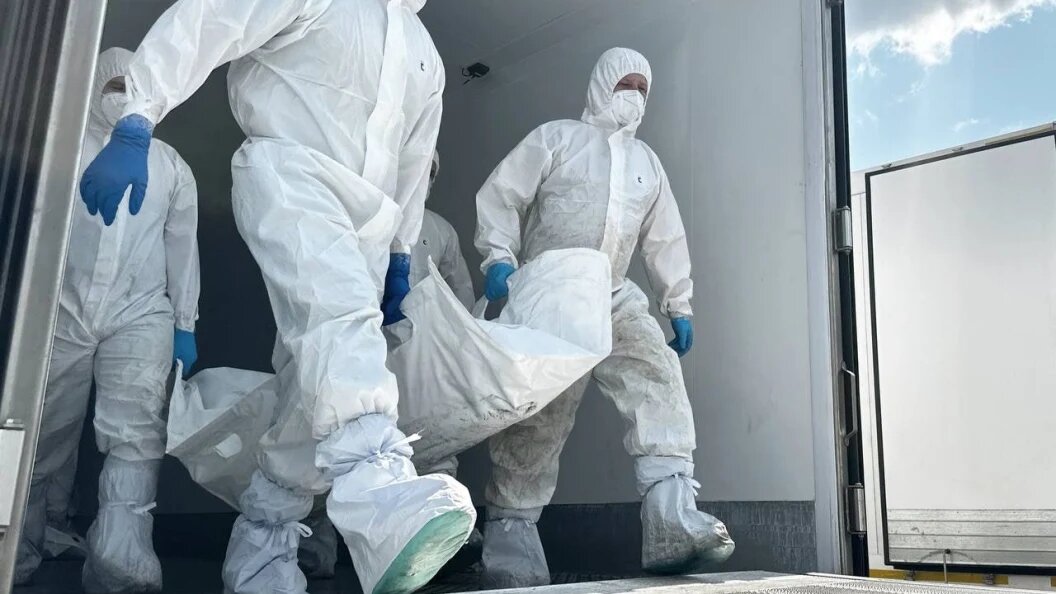    фото: тг-канал минобороны россии.