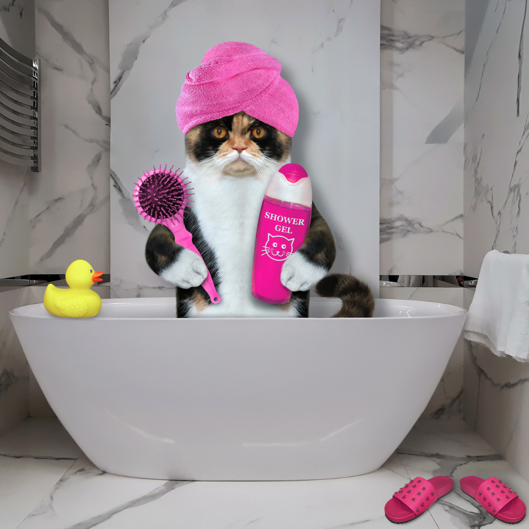 Источник фото: Сanva