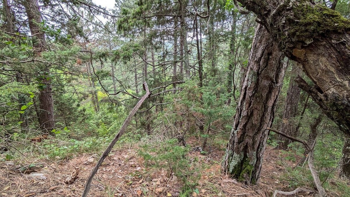    Фото: телеканал «Краснодар»