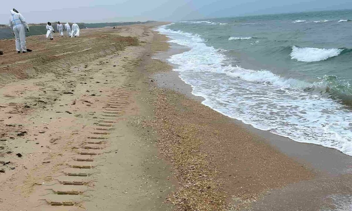    Фото оперативный штаб Краснодарского края