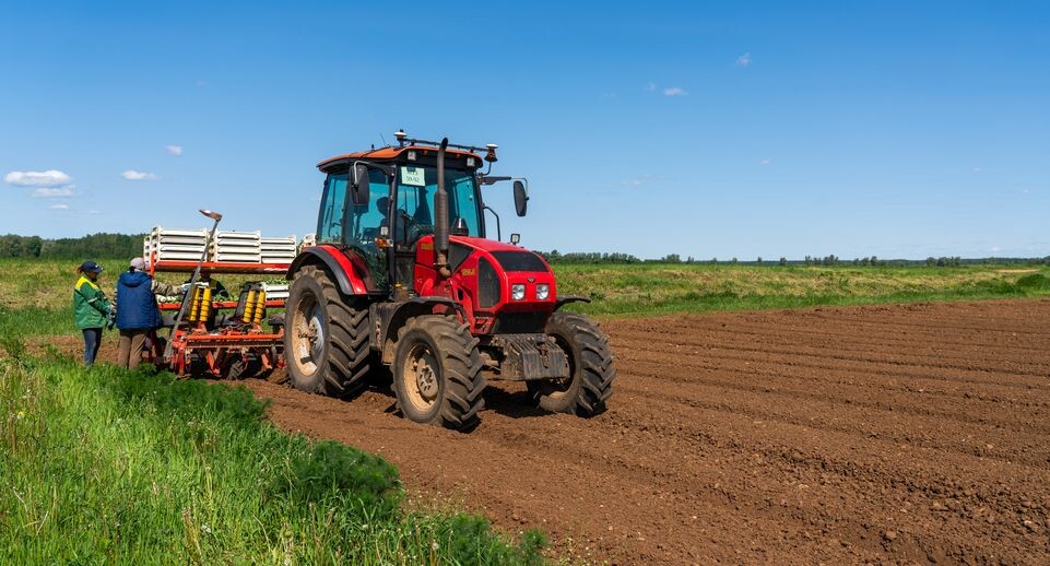    Сельхозтехника высаживает овощи на полях ГК «Дмитровские овощи» / Медиасток.рф