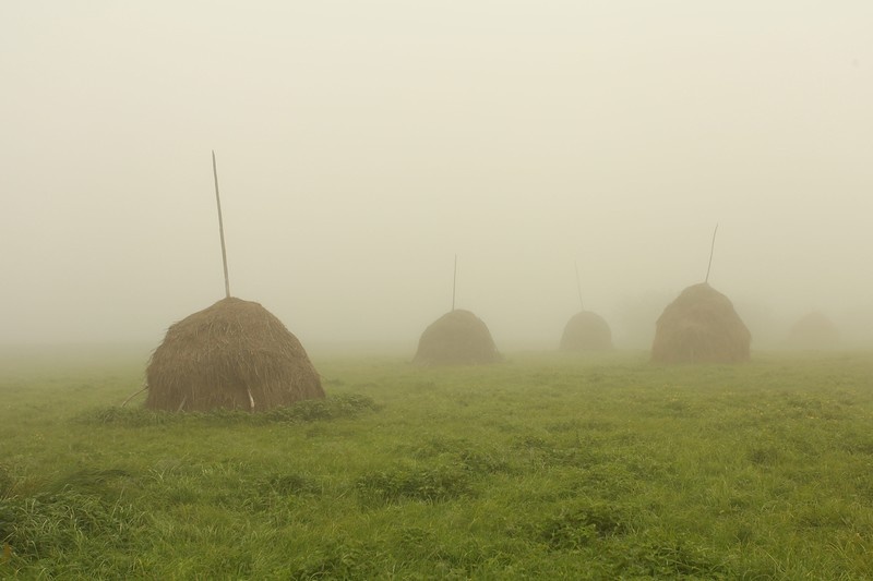 картинка из интернета