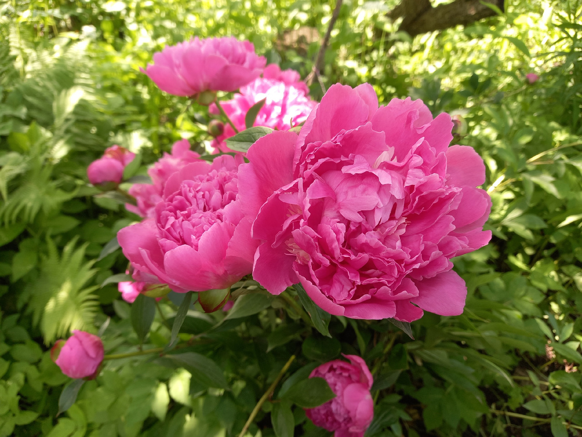 фото от 19.06.2025