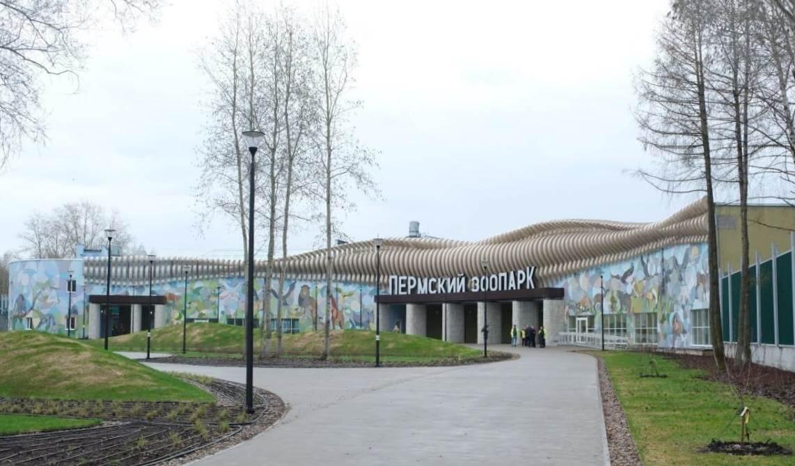    © "Россети Урал"