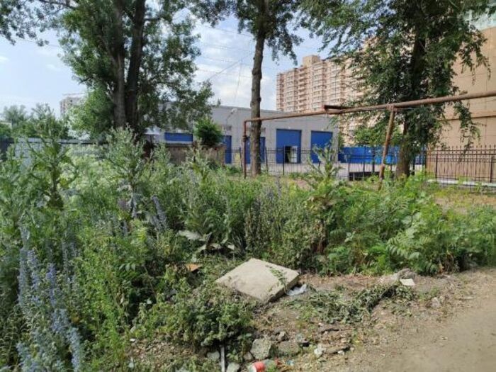 Источник фото: Соцсети
