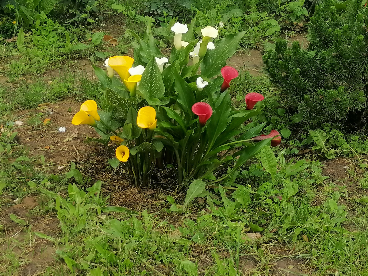 Очень красиво.