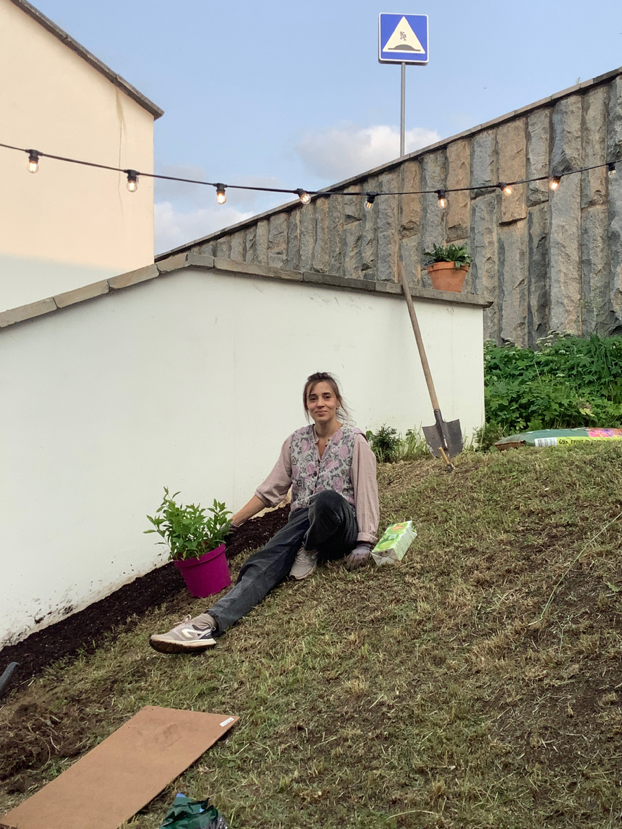 Сажаю флокс Успех. Сныть на заднем плане еще не скошена до конца