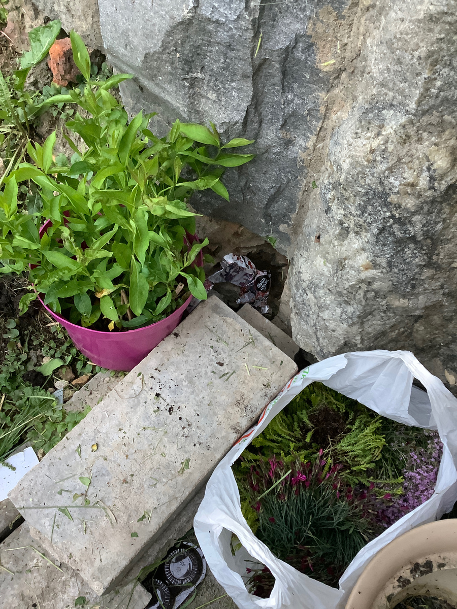 Первая посылка с дачи