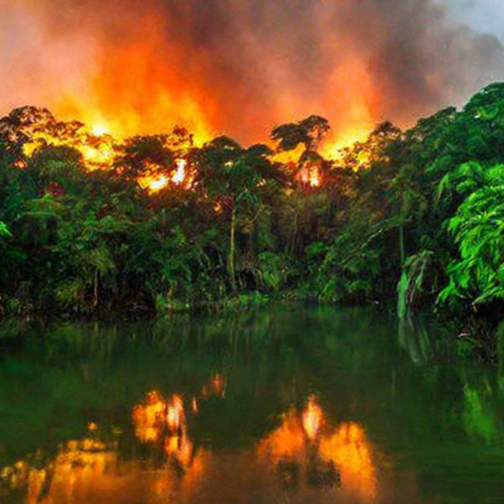 Источник Яндекс картинки