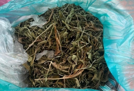 В сарае мужчина хранил марихуану