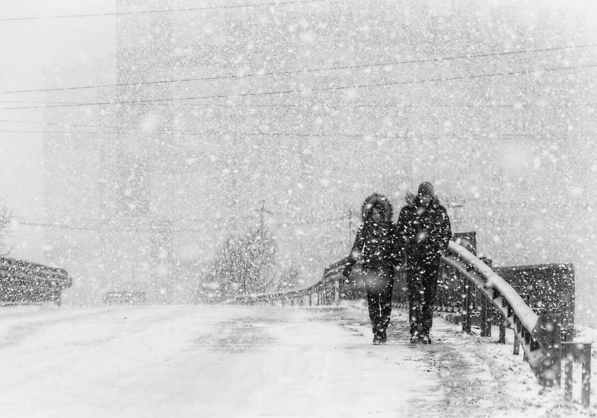 из открытого источника