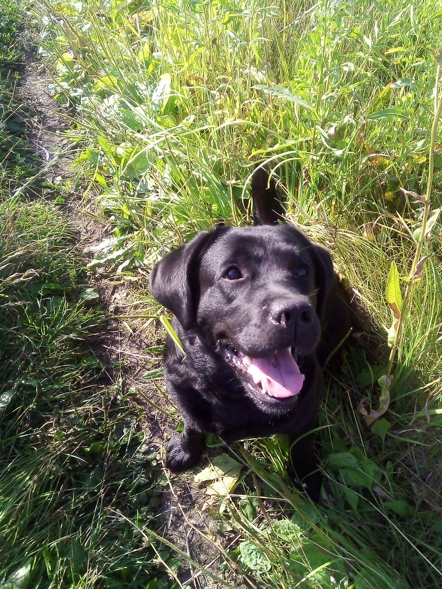 Фото автора.