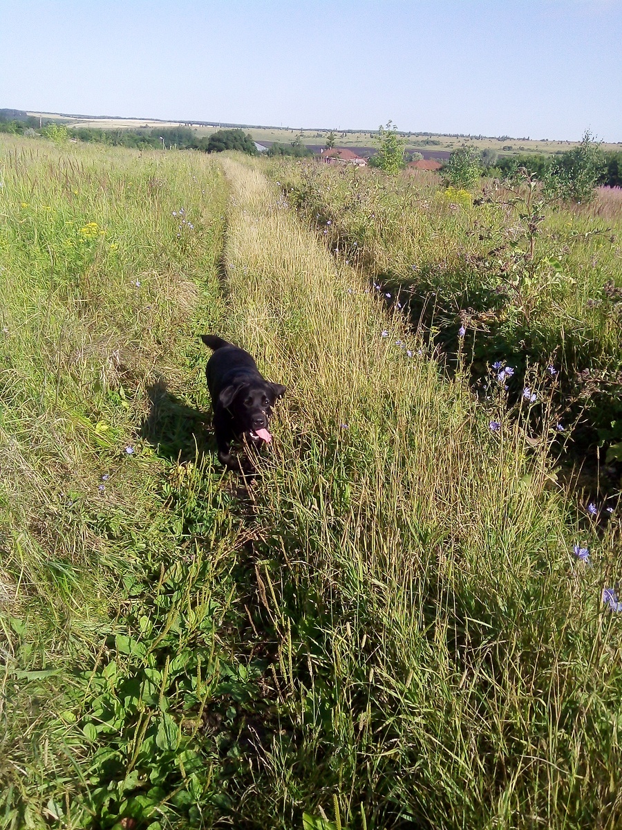 Фото автора.