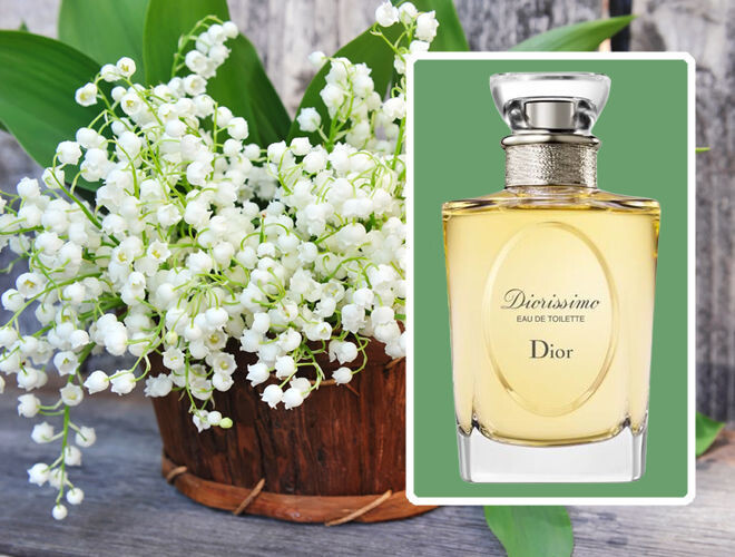 Фото из открытого доступа.