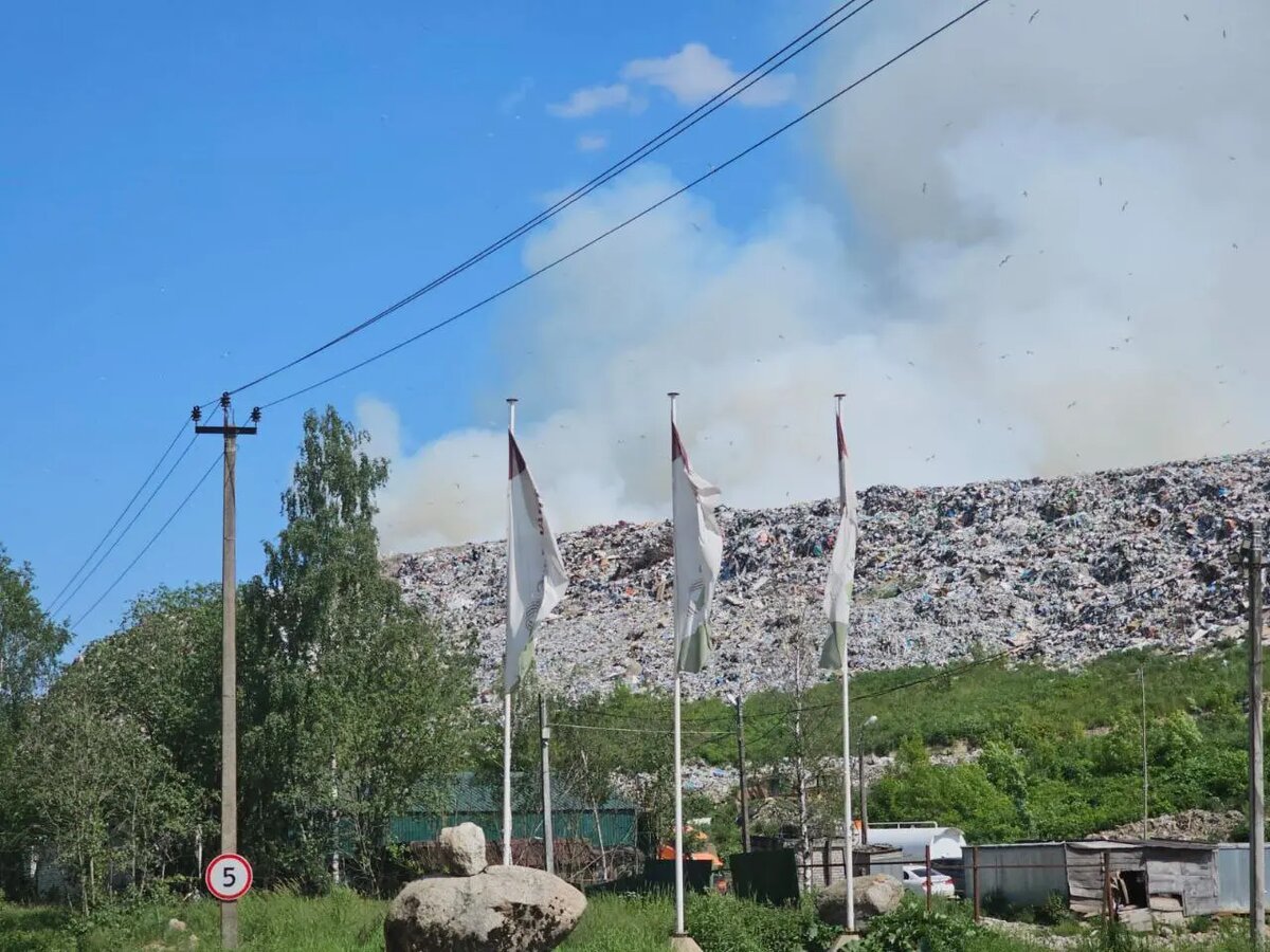    Фото: пресс-служба прокуратуры Ленобласти.