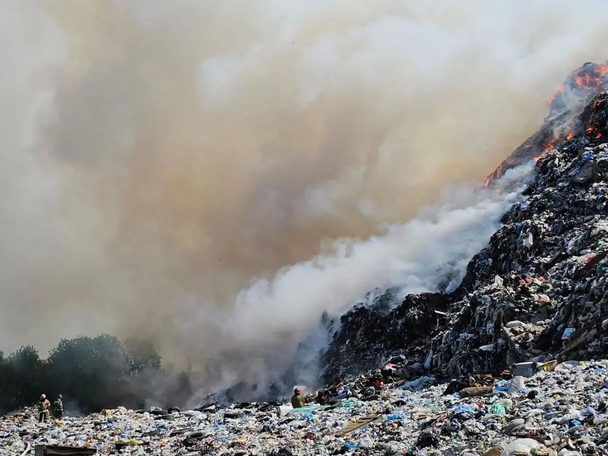    Фото: пресс-служба прокуратуры Ленобласти.