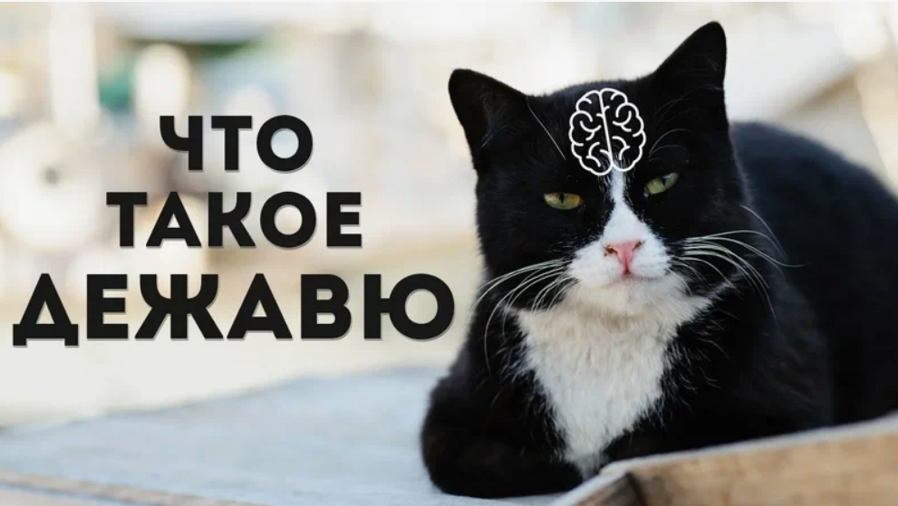 Источник: Яндекс картинки