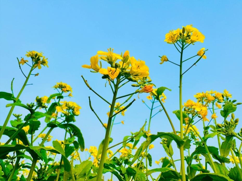    Shutterstock/FOTODOM