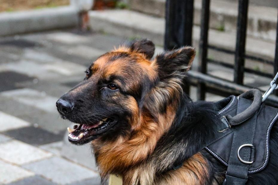    Сергей Лантюхов/NEWS.ru