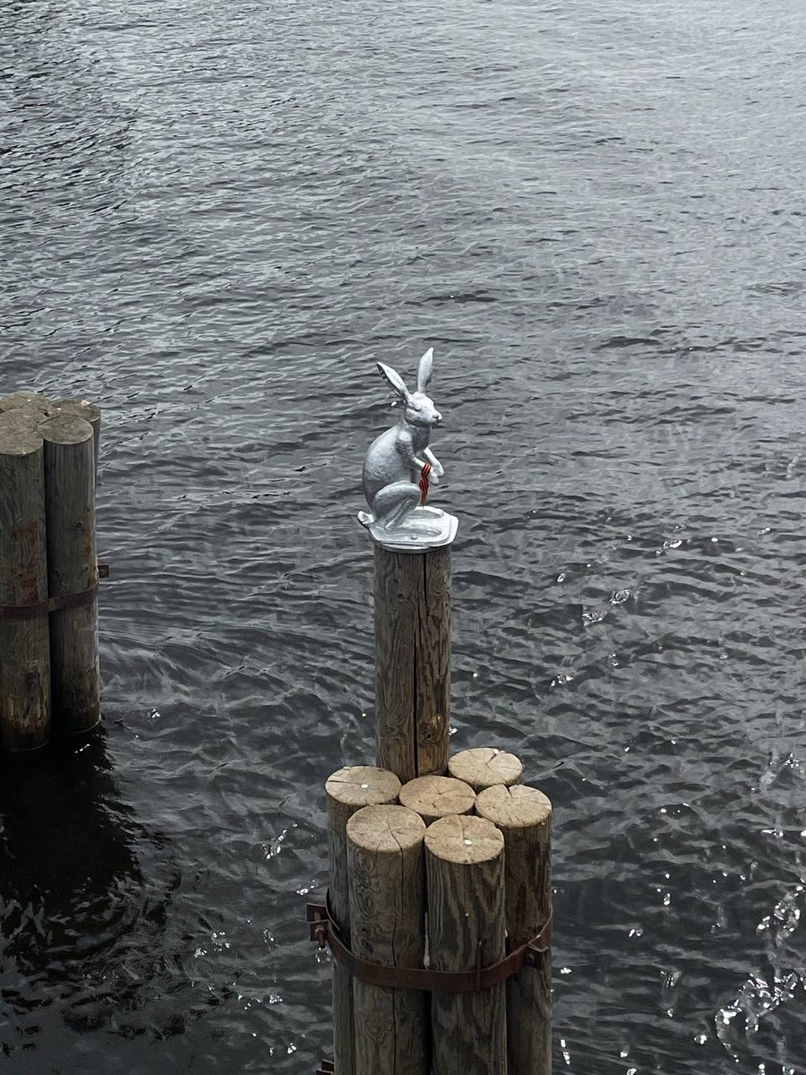 Заяц Арсений на Иоанновском мосту