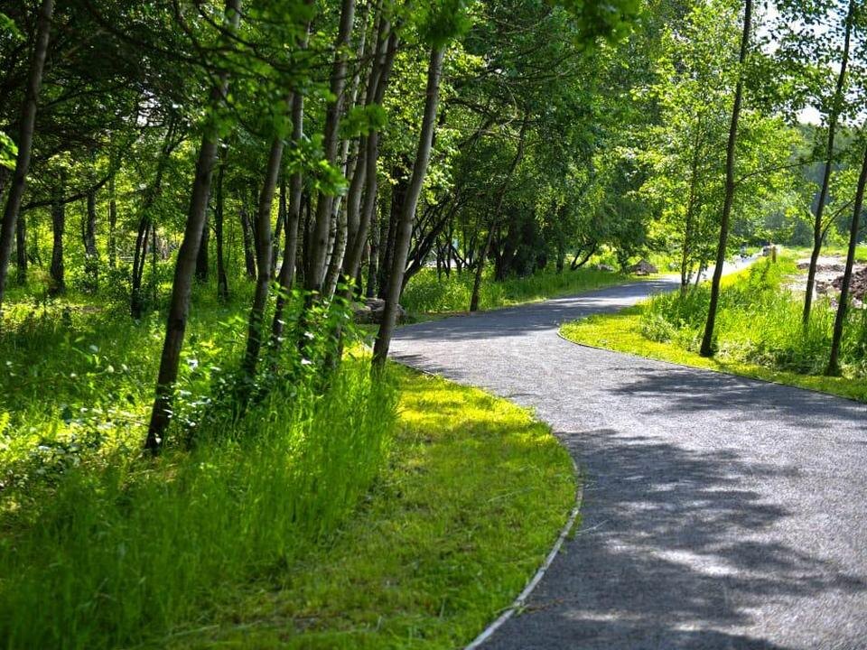 Химкинский лесопарк
Источник: 2ГИС