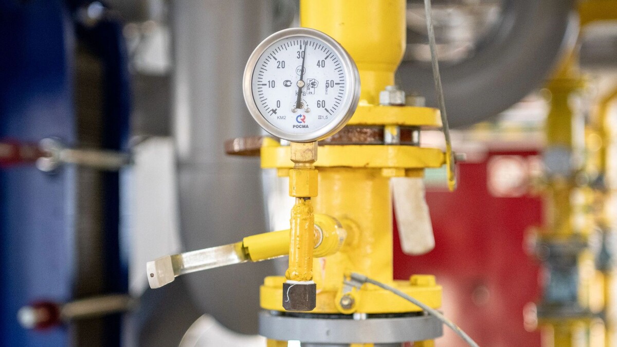    Фото: Юрий Здебский/«Ямал-Медиа»