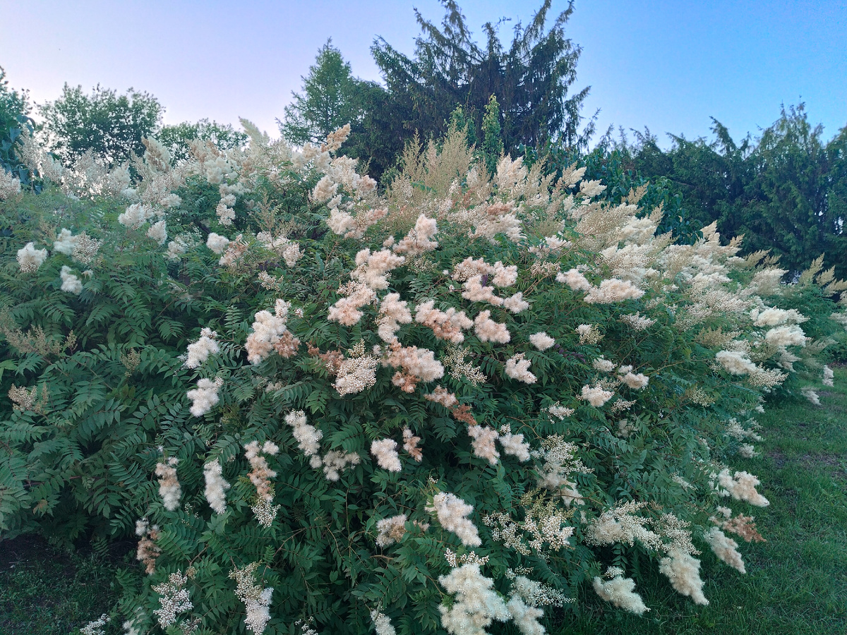 Фото 📷 автора