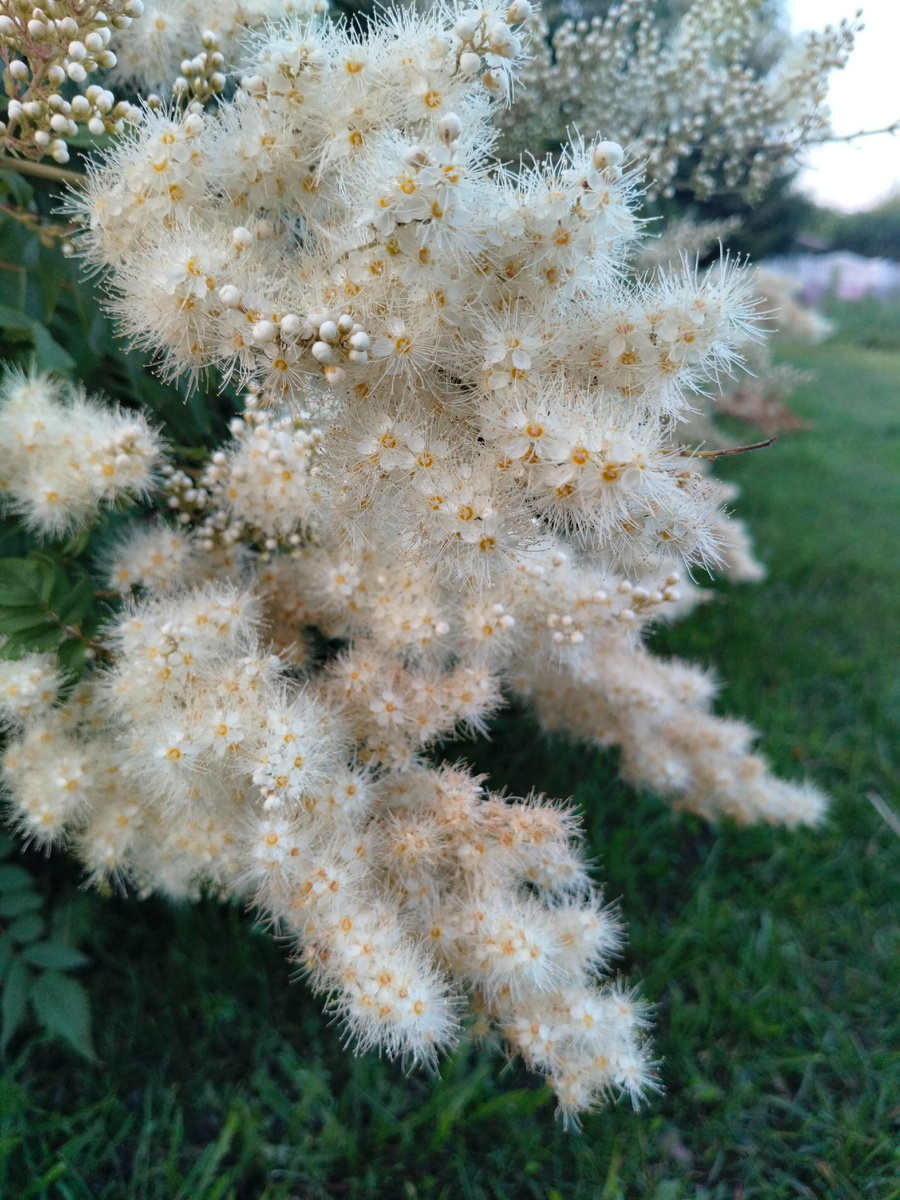 Фото 📷 автора