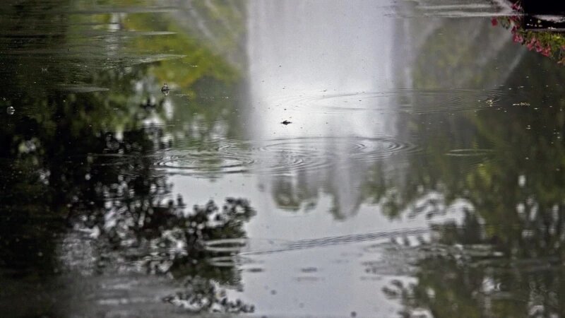     Дождь. Михаил Хаустов