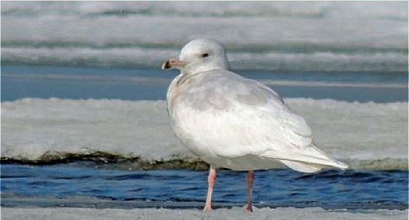    Фото А. Г. Устиновой