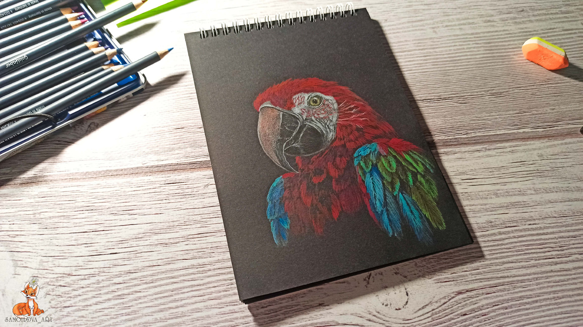 Красный ара