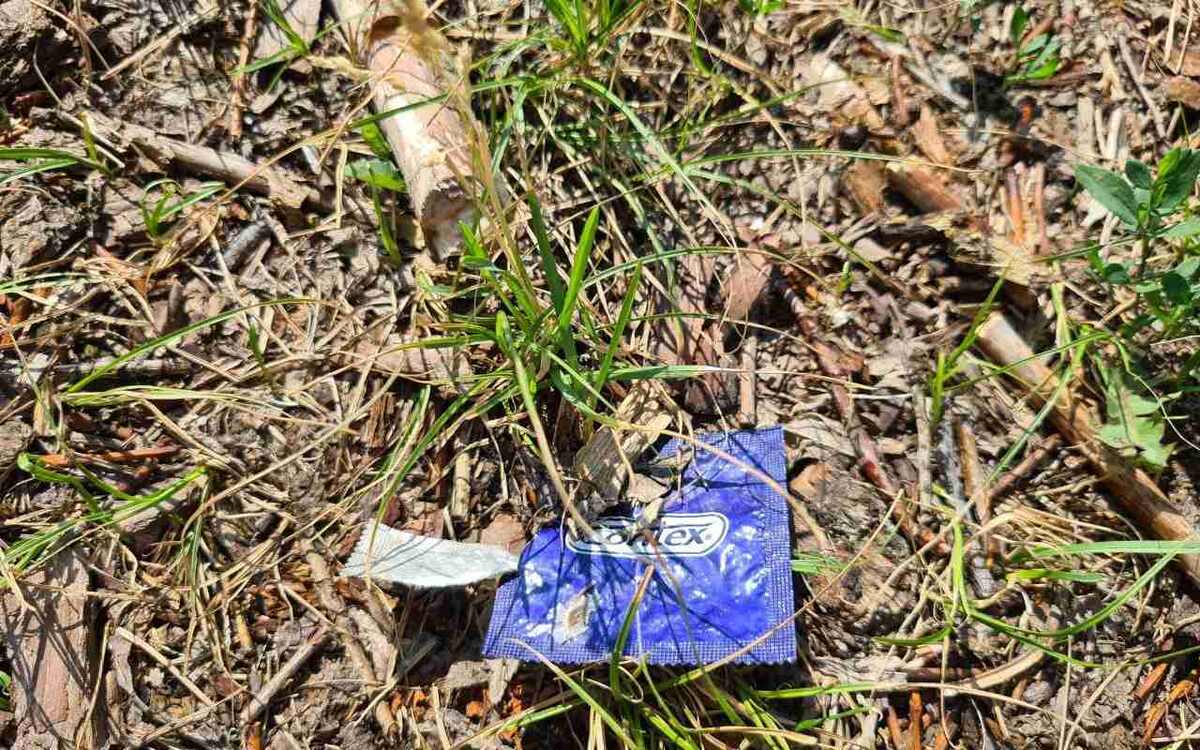    Скамейки, освещение и кабинки для рыбаков: как в Воронеже хотят благоустроить набережную Массалитинова Полина Писчая