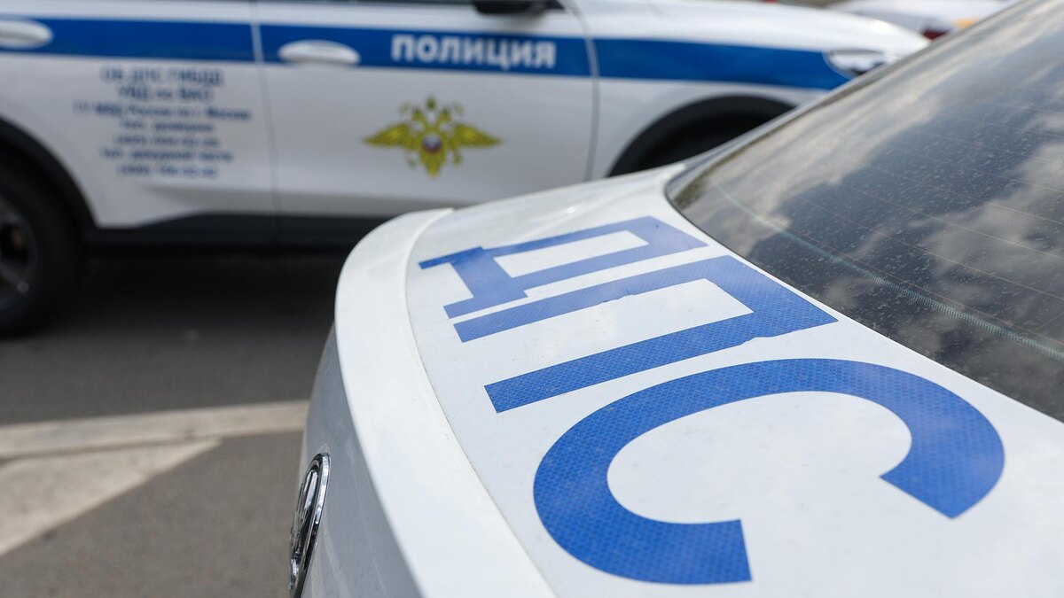    Фото: Petrov Sergey/globallookpress.com