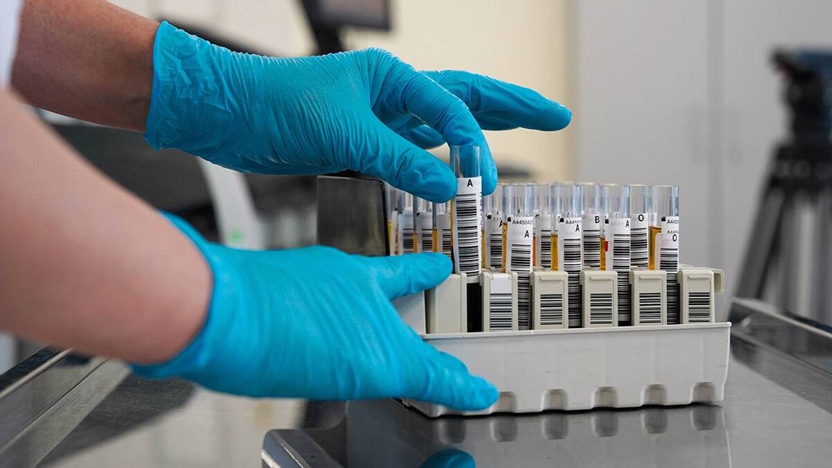    Фото: Александр Авилов / АГН Москва