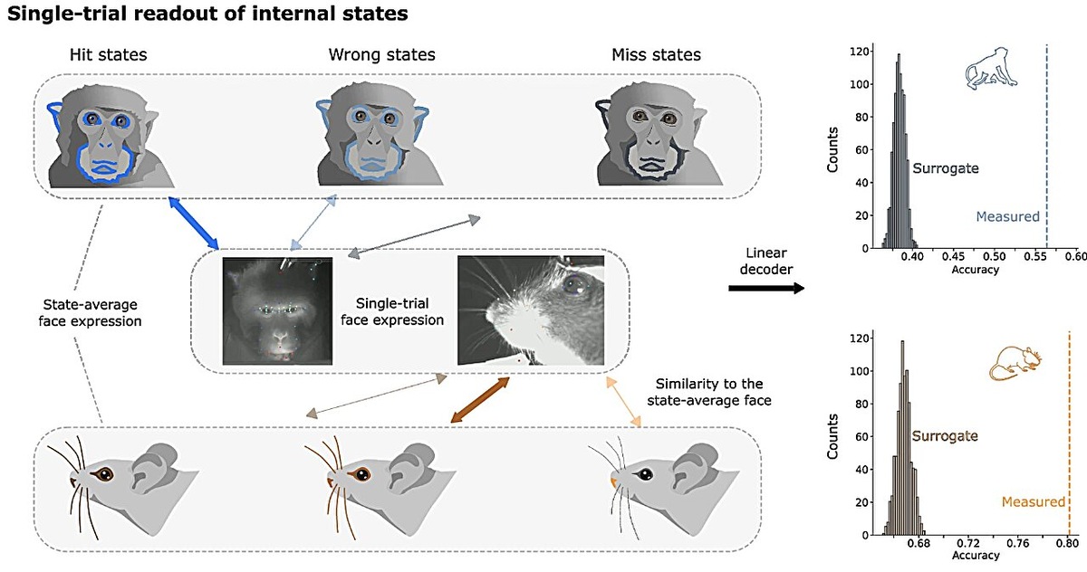    Nature Communications