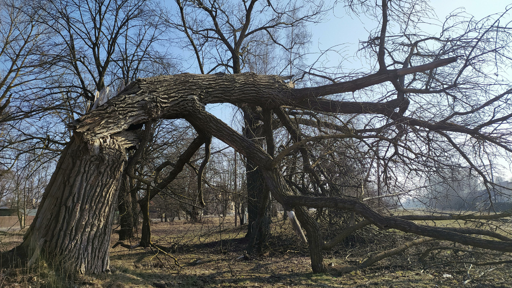    Фото: Victor Lisitsyn/Globallookpress