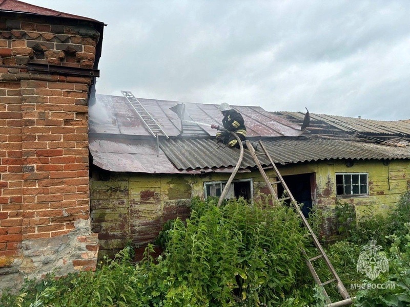    Фото: пресс-служба ГУ МЧС России по Пензенской области