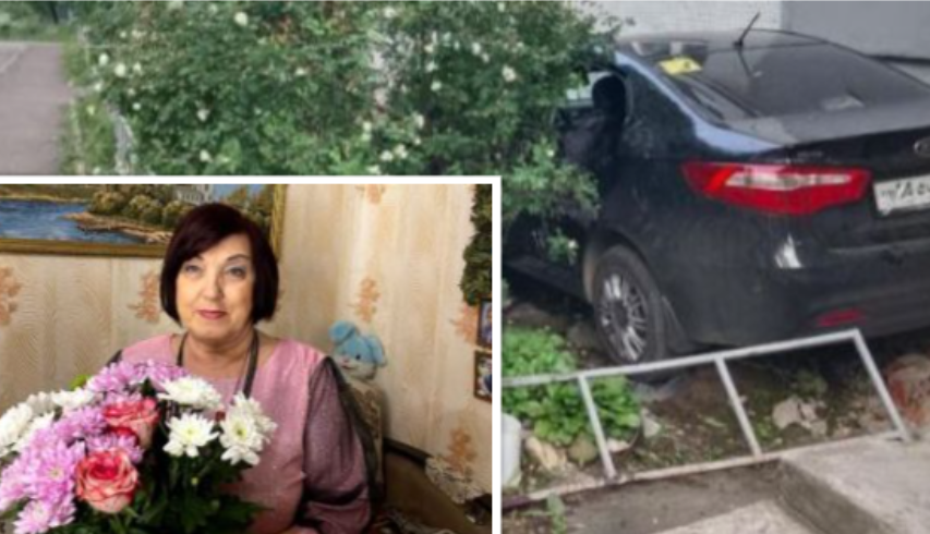 Основное фото: УМВД по Вологодской области. Фото Валентины Зерновой: соцсети