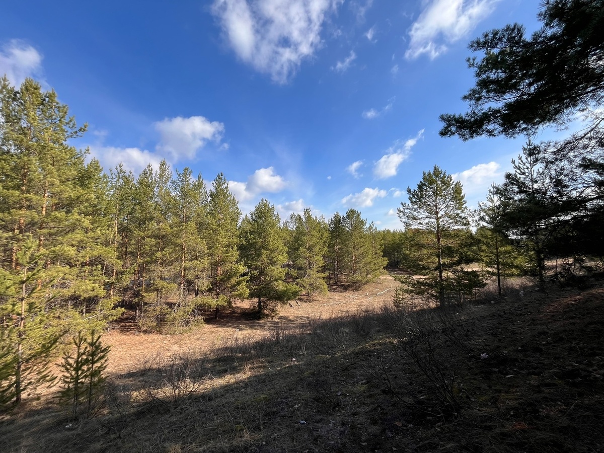    Фото: архив progorod