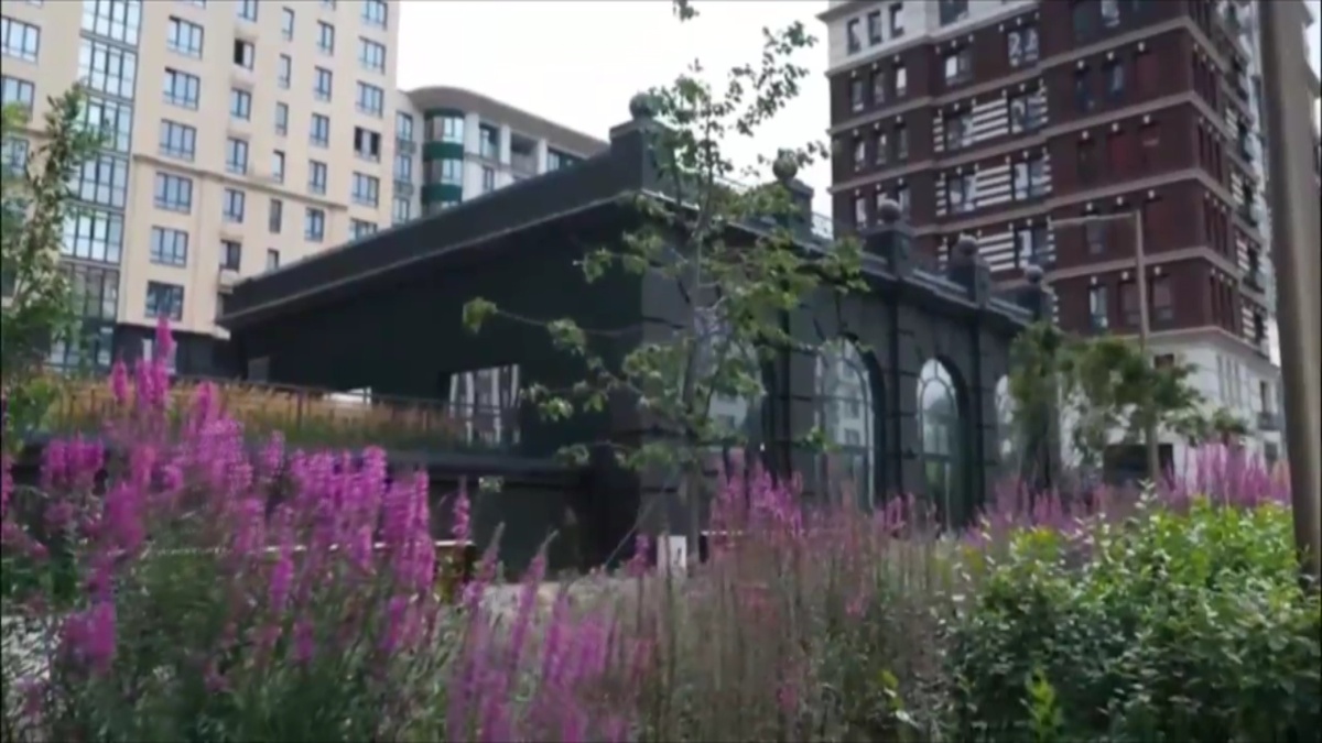 Кадр из программы "Вечерний хэштег"