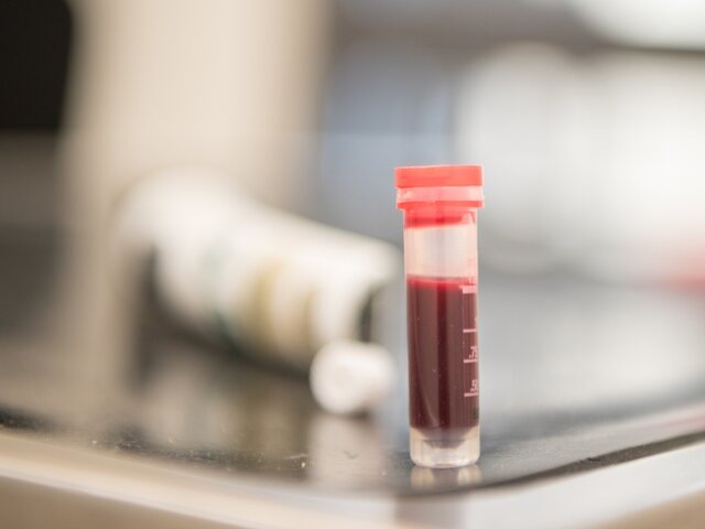    Фото: 123RF/ thaka1