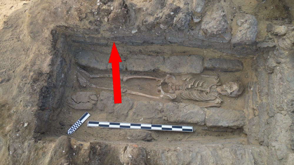    Тайны гигантских скелетов скрывают ли ученые правду о древних великанах