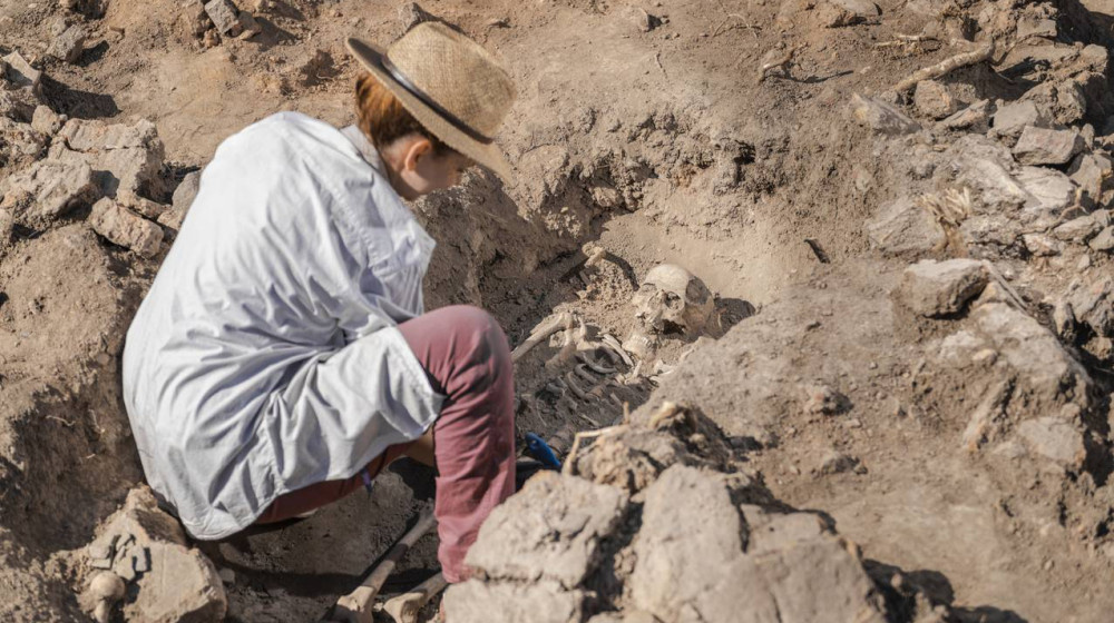    Тайны гигантских скелетов скрывают ли ученые правду о древних великанах